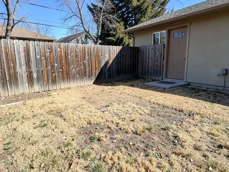AI-generated example: a small backyard with a worn, dry brown lawn, a weathered wooden fence and a tan house with a back door and a small concrete slab