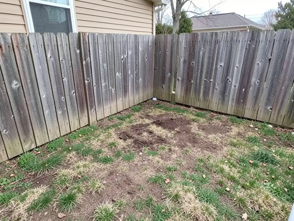 AI-generated example: the bare corner of a backyard where two weathered wooden privacy fences meet, with patchy grass and dirt, the corner of a tan house with one window at the top left and a neighbor's roof behind