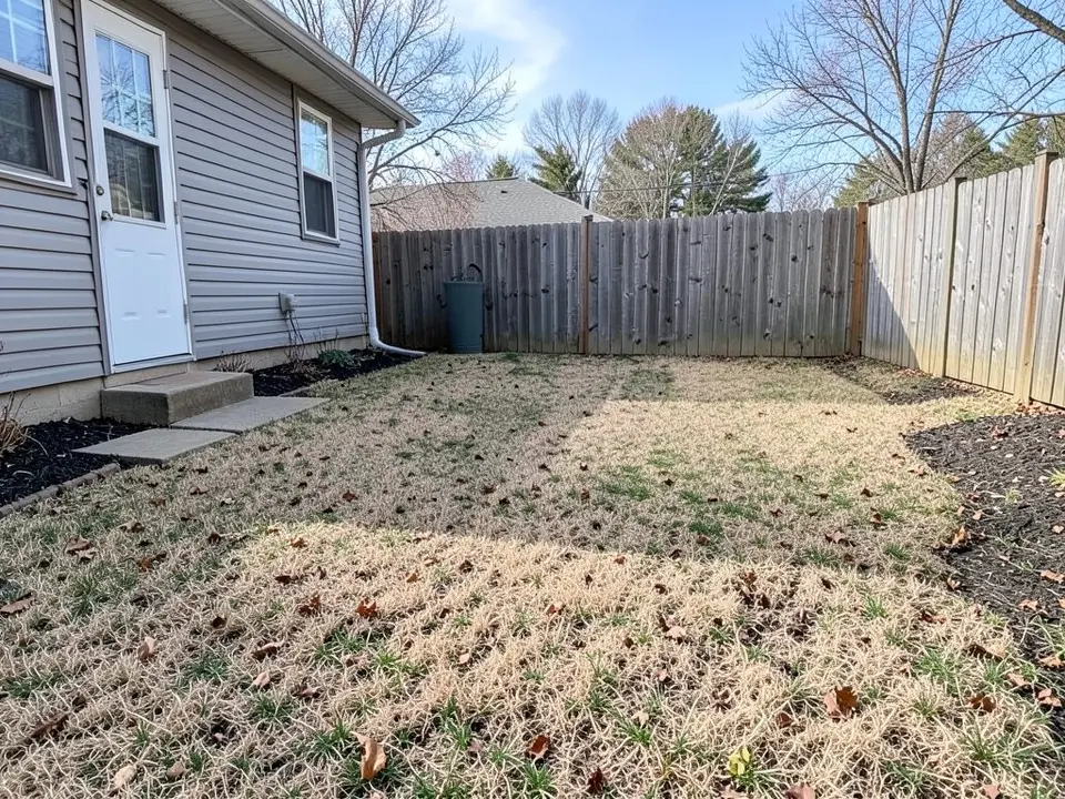 AI-generated example: a small backyard with a dry, tan, patchy lawn with dead leaves on it, a grey-sided house with a white back door and a concrete step on the left, black mulch beds, a wooden fence with a bin in front of it and bare trees behind in early spring