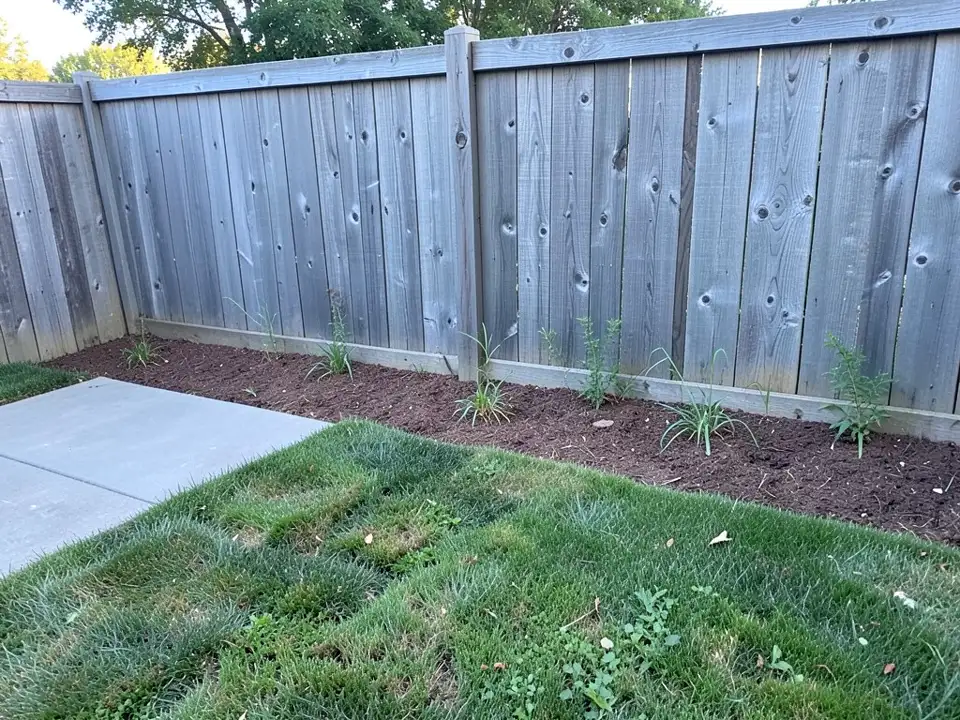 AI-generated example: a weathered grey wooden fence along the back of a yard, a strip of dark brown mulch with a few young plants along its foot, a concrete patio slab on the left and a patchy green lawn in front