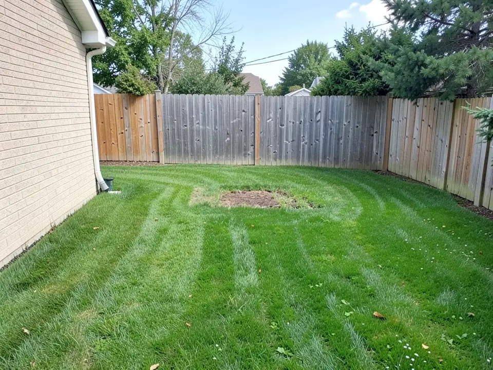 AI-generated example: a mown green backyard lawn with a wooden fence along the back, a small bare patch of soil in the middle of the lawn and the beige brick wall of a house on the left